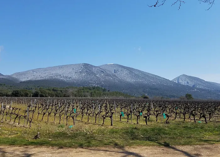 Luberon - Mas Du Grand Saint Julien
