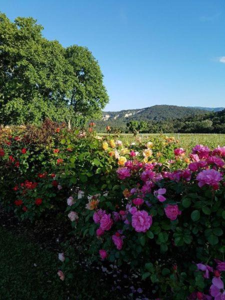 Ferienhaus Luberon - Mas Du Grand Saint Julien *