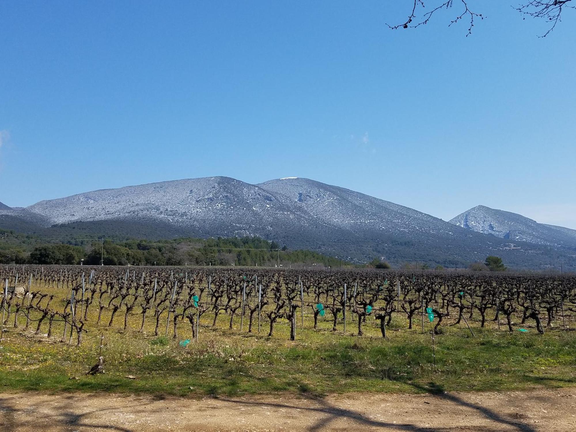 Luberon - Mas Du Grand Saint Julien Ferienhaus